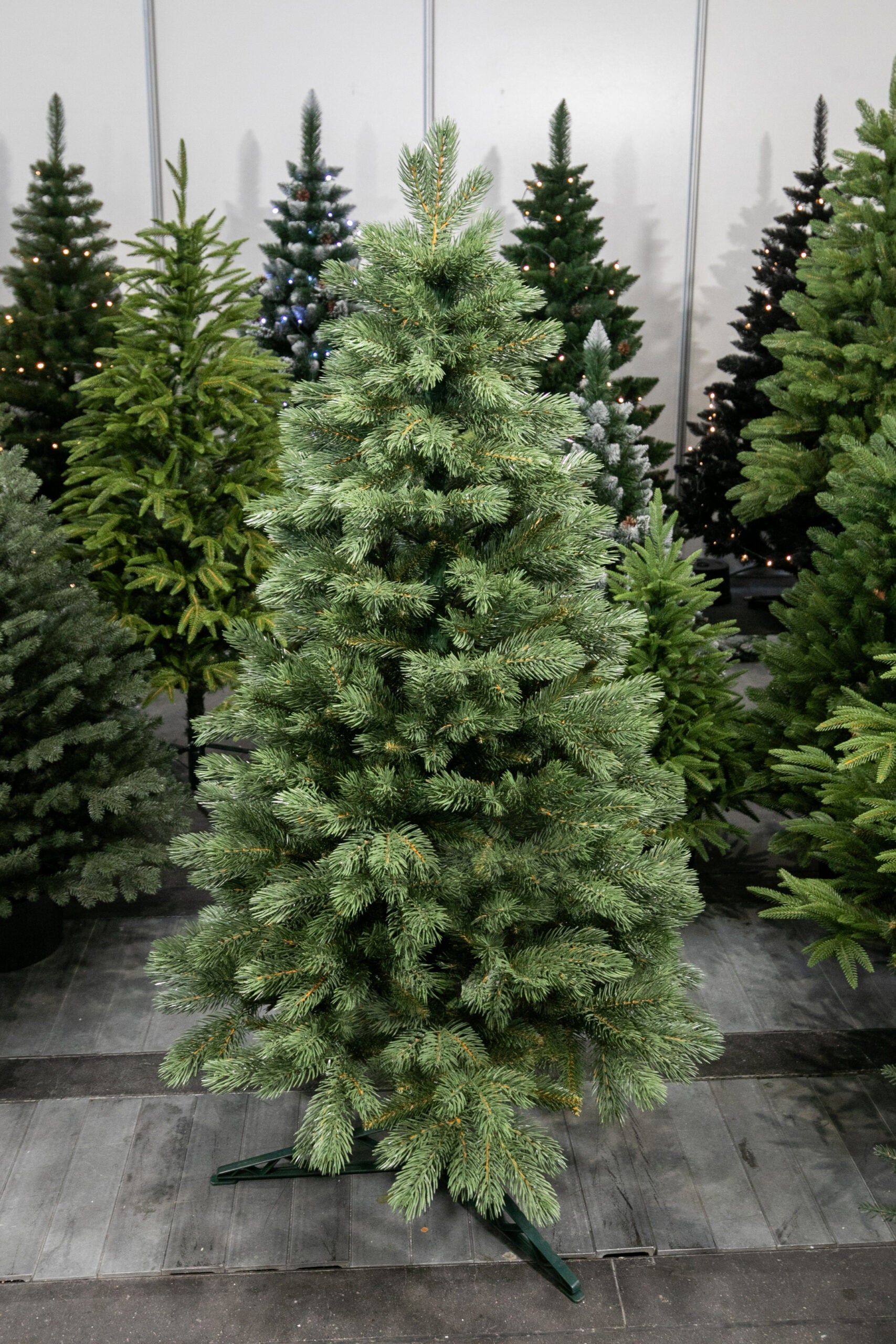 220 cm Kalėdų eglutė Sosna Himalajska Exclusive