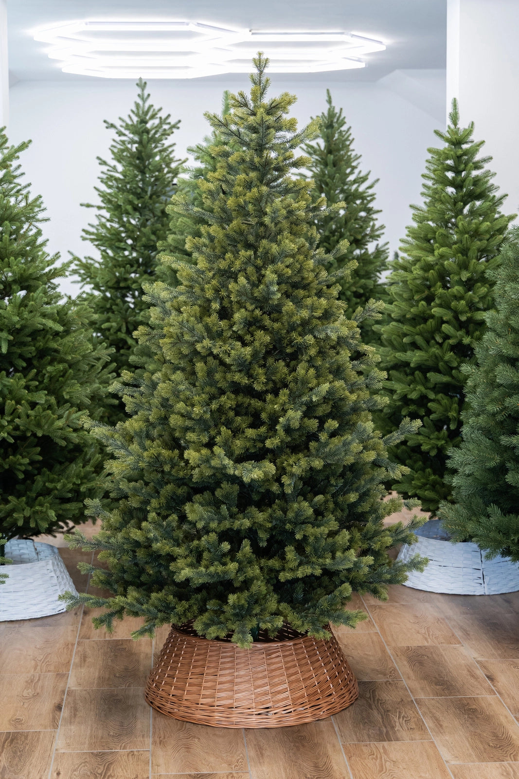 220cm Verona Mix  PE+PVC Exclusive kalėdinė eglutė