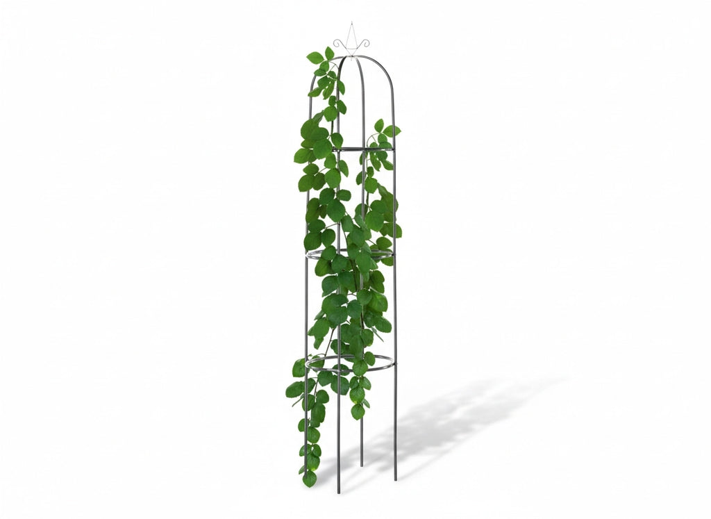 Prekes nuotrauka PERG-N0309