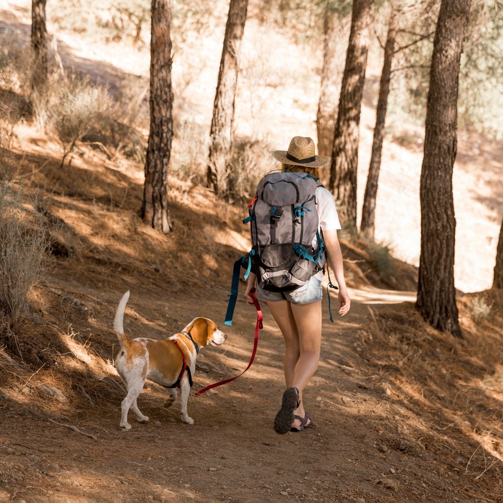 Prekes nuotrauka PET7703