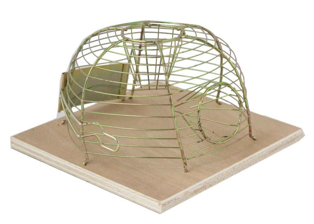 Prekes nuotrauka SET3606