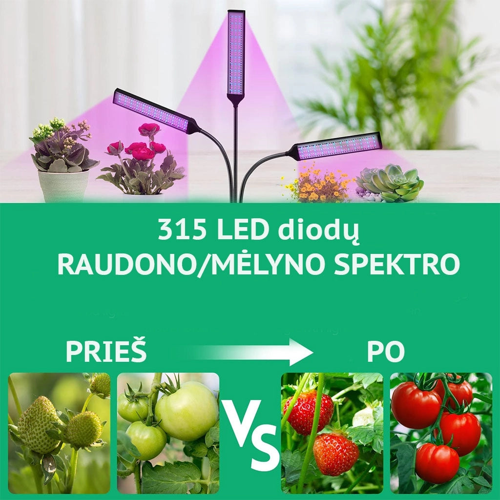 Prekes nuotrauka TR1348