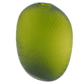 Prekes nuotrauka TR1900
