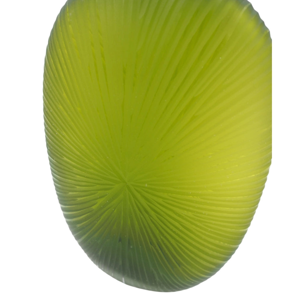 Prekes nuotrauka TR1900