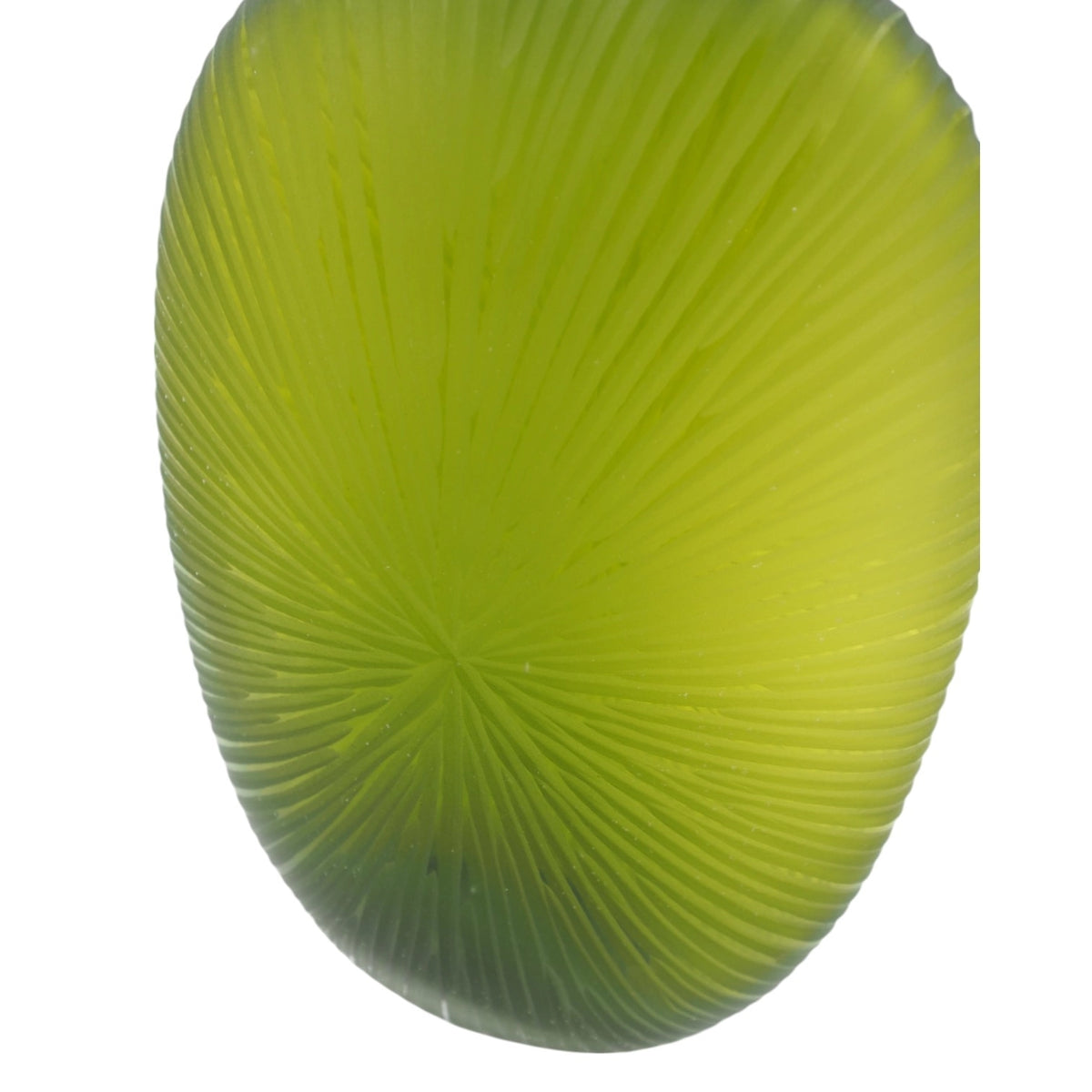 Prekes nuotrauka TR1900