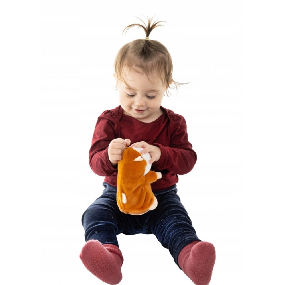 Prekes nuotrauka TR2172