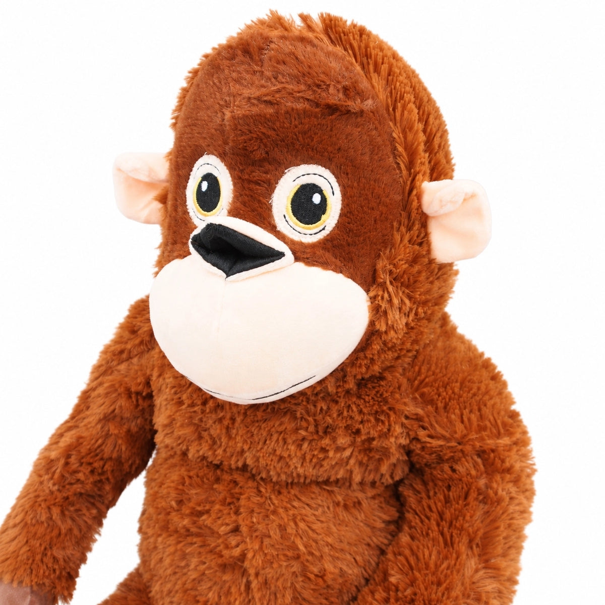 Prekes nuotrauka TR2374L