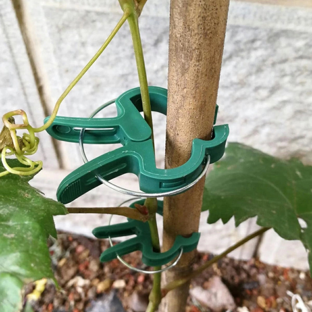 Prekes nuotrauka TR2522