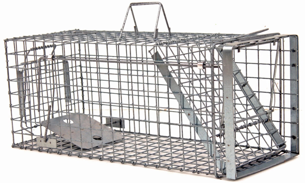 Prekes nuotrauka ZL80