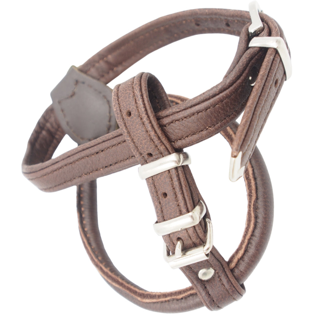XS Petnešos Hunter